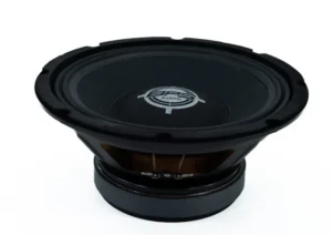 10-700MR-3 BPS 10" 700W MR