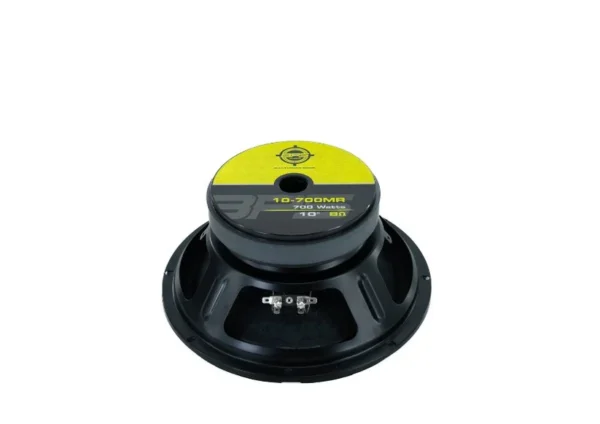 10-700MR-4 BPS 10" 700W MR
