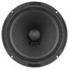 DS18 8" 300W PRO300MB-8