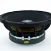 W.50-1 BPS 12" W.50 1700W